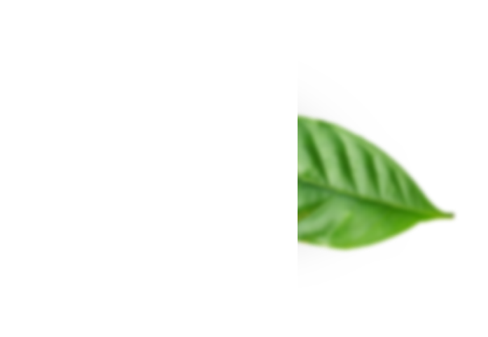 sustainability leaf image