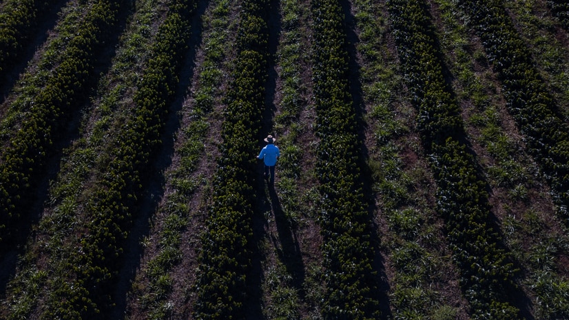 sustainability land image