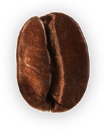 Coffee bean